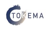 Tokema Consulting