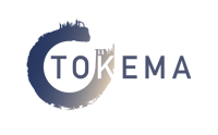 Tokema Consulting